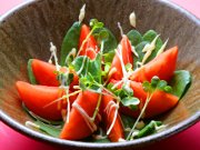 �t���[�c�g�}�g�T���_