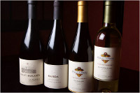 ���I�̃��C��